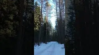Лучшее бесплатное лекарство от стресса #shorts