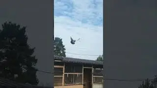 Сизый Исфаринский