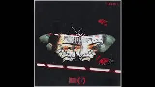 Atlas Erotika - Matrix