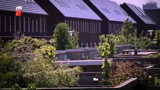 PRdV Internetpesters Aangepakt 2015 afl 05 15juni