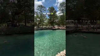Ponce de Leon Springs State Park 💦