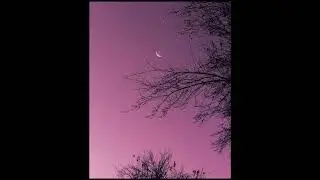 [FREE] Juice WRLD + Trippie Redd Guitar Type Beat - 