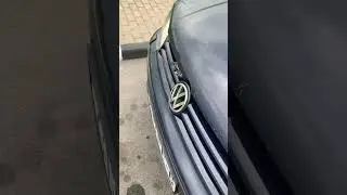 Убийца птиц )
