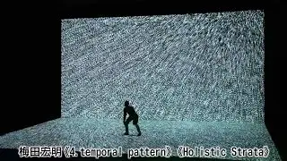 梅田宏明 《4. temporal pattern》 《Holistic Strata》 あいちトリエンナーレ2013 [Network2010]