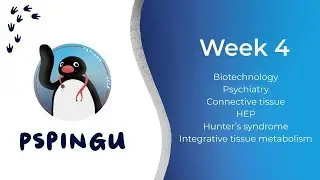 Sem 1 Week 3/4 Content + Week 3 Quiz