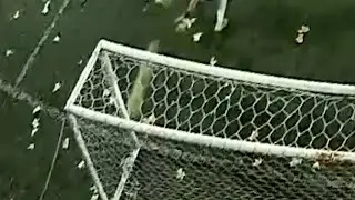 JUANCHO ROMPE EL PALO