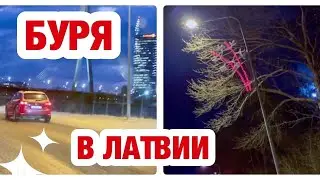 СНОСИТ КРЫШИ С ДОМОВ, ЛОМАЕТ ДЕРЕВЬЯ, ОБРЫВАЕТ ПРОВОДА И СВЕТОФОРЫ! ТРАНСПОРТ ОПАЗДЫВАЕТ...