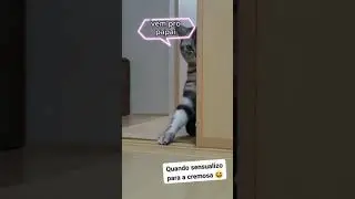Vem longo gata 😍 #shorts #reels #shortvideo