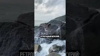 Больше подарков в моем канале, смотри в шапке профиля