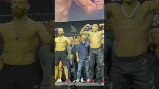 Alex Pereira vs Jan Blachowicz 🔥 #UFC291