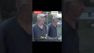 WHAT ARE YOUR PRONOUNS... I'M A MAN I'M A MALE ... 