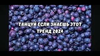 4 июля 2024 г.