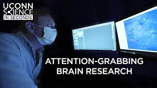 Science in Seconds: Attention-Grabbing Brain Research