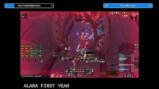 Birds of Paradise - Virsoul's Tempest Keep Raid Review
