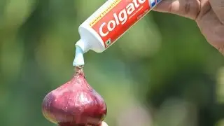 5 Life Hacks for Toothpaste YOU SHOULD KNOW [EP.1]