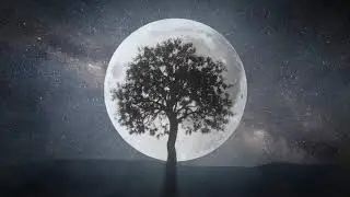 Музыка для сна | Засыпательное видео. Красивая музыка
