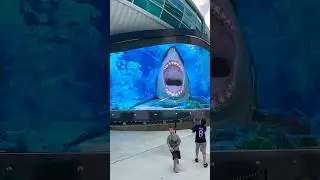 Sea creatures attack at the Port of 