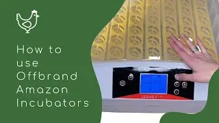 Amazon 56 Egg Incubator [How to Use]