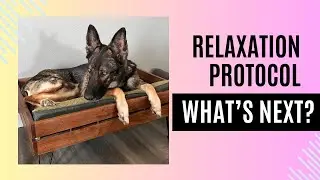Relaxation Protocol: What Next?