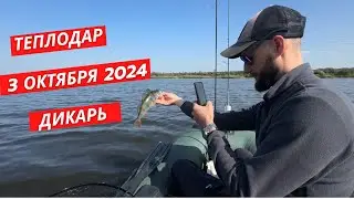 Теплодар 03.10.24. С лодкой впервые в этом сезоне. #окунь #хищник #carpdesign