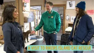 A Trip to Rikers Island Cat Rescue for 'Lost Pets of New York'!
