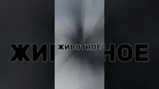 #Игра