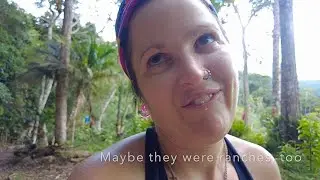 Exploring unmarked trails in Brazil's Atlantic Forest - Desenganos Park, Rio de Janeiro