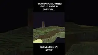 I TERRAFORMMED THE END IN MY HARDCORE WORLD... 