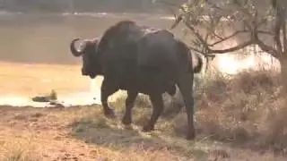A South African Adventure Summary Podcast