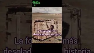 La fotografía más desoladora de la historia 
