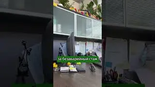 ПРАВДА об авто страховании в Канаде. Мой опыт