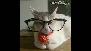 Kat
