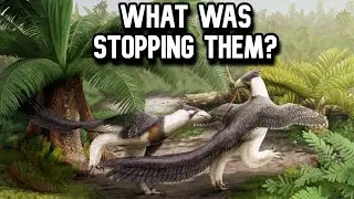 Why Didn't The Dinosaurs Ever Re-Emerge?