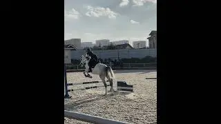 больше интересного в моем тгк: Equ•lunix 😌🖤
