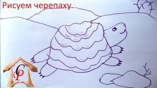 Рисуем с детьми. Рисуем черепаху.