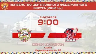 2.  СШ ЛЕД. ПОКОЛЕНИЕ-12 (Орел) - ХК ТОРНАДО-12 (Ярославль)