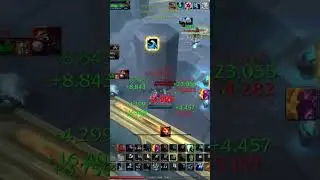 Careful on Rogues #restoshaman #dragonflight #pvp