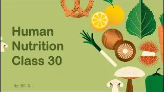Human Nutrition 30