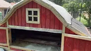 Cool The Chicken Coop - What's Working in 2024