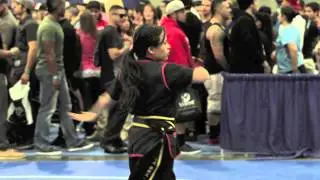 Tei's Los Angeles Wing Chun School at LA Fit Expo 2014 - Part 5