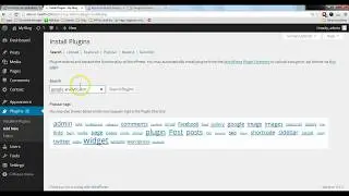 How to track visitors for WordPress website