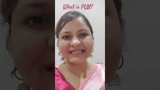 What is Pun ?