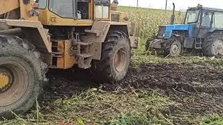 прикол. 1221. мтз. амкадор