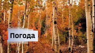 Моя версия осенней заставки погоды