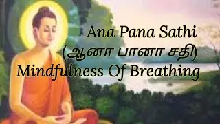 Ana Pana Sathi | ஆனா பானா சதி | உள்- வெளி மூச்சு கவனித்தல் | Meditation |Mindfulness of Breathing |