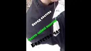 Братство чая - чайный обряд , съесть чайный пакетик