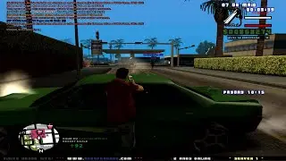 playing with my dogs