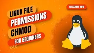 Chmod Command in Linux: Mastering File Permissions for Beginners