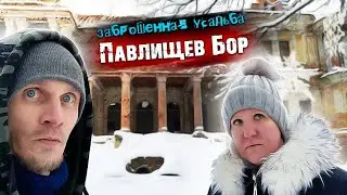 The abandoned Stepanovskoye-Pavlishchevo estate in the Kaluga region // Pavlishchev bor