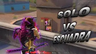 TIGRE BLANCO Solo vs Escuadra